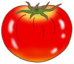 トマト・フルーツトマト・完熟トマト・赤茄子・蕃茄・夏野菜